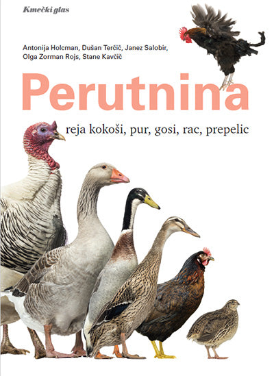PERUTNINA