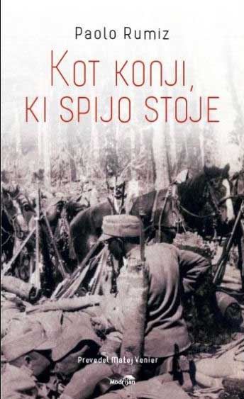 KOT KONJI, KI SPIJO STOJE