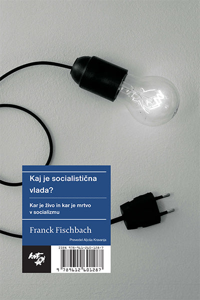 Kaj je socialistična vlada?: Kar je živo in kar je mrtvo v socializmu