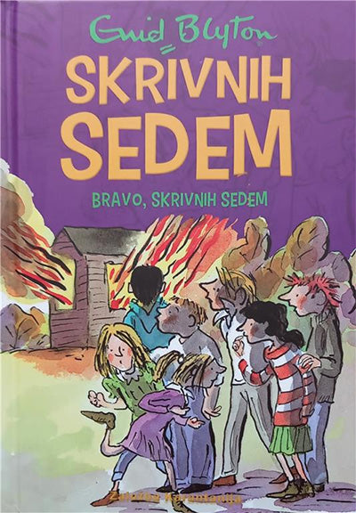 Skrivnih sedem: Bravo, Skrivnih sedem! (6. knjiga)