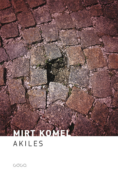 AKILES (SUBVENCIJA)