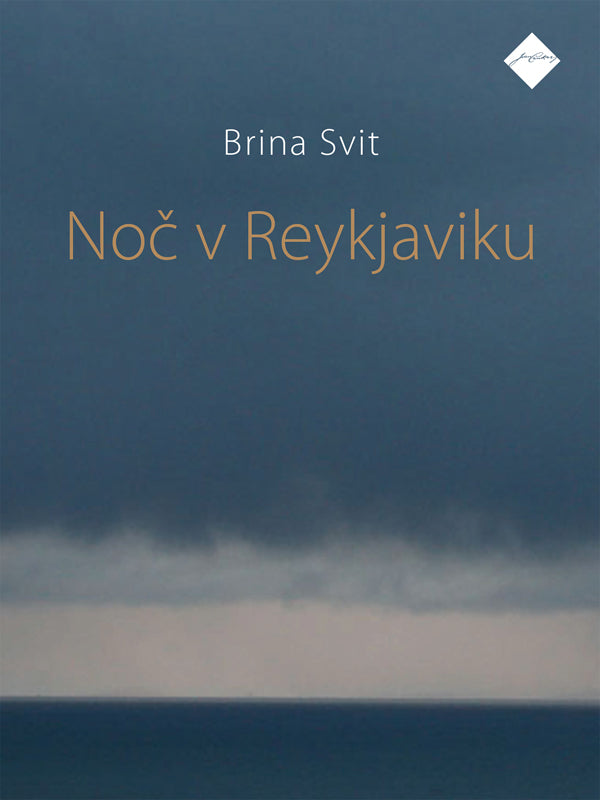 Noč v Reykjaviku