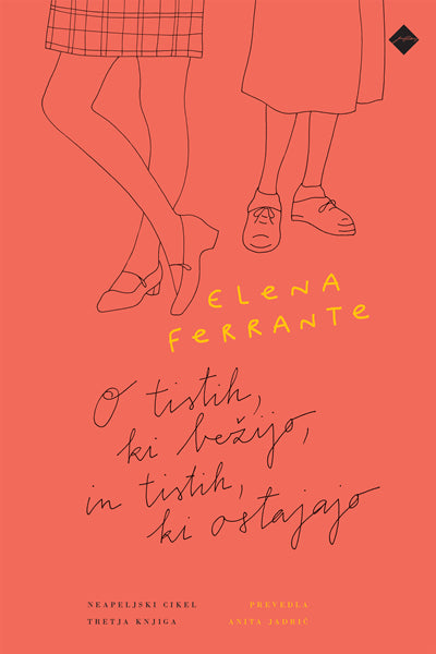 O tistih, ki bežijo, in tistih, ki ostajajo (Neapeljski cikel, 3. knjiga - Srednja leta)