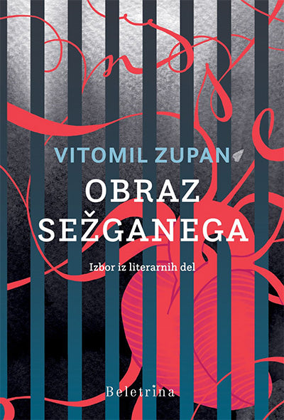 OBRAZ SEŽGANEGA (SUBVENCIJA)