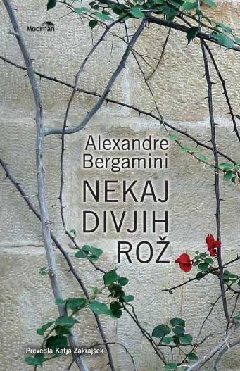 NEKAJ DIVJIH ROŽ