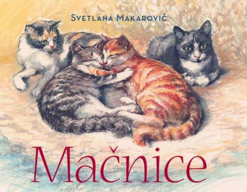 Mačnice