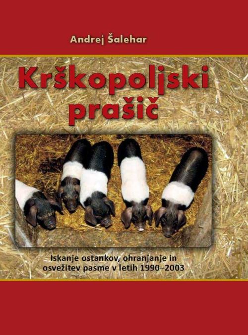 KRŠKOPOLJSKI PRAŠIČ