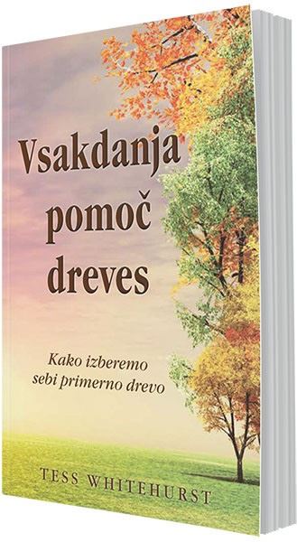 Vsakdanja pomoč dreves: kako izberemo sebi primerno drevo