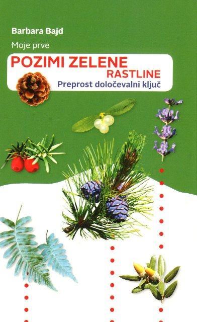 MOJE PRVE POZIMI ZELENE RASTLINE