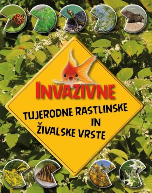 INVAZIVNE TUJERODNE RASTLINSKE IN ŽIVALSKE VRSTE