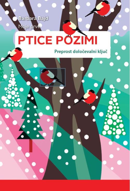 MOJE PRVE PTICE POZIMI