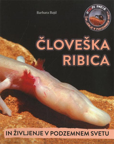 ČLOVEŠKA RIBICA IN ŽIVLJENJE V PODZEMNEM SVETU