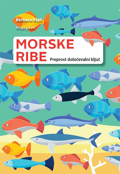 Moje prve morske ribe: preprost določevalni ključ