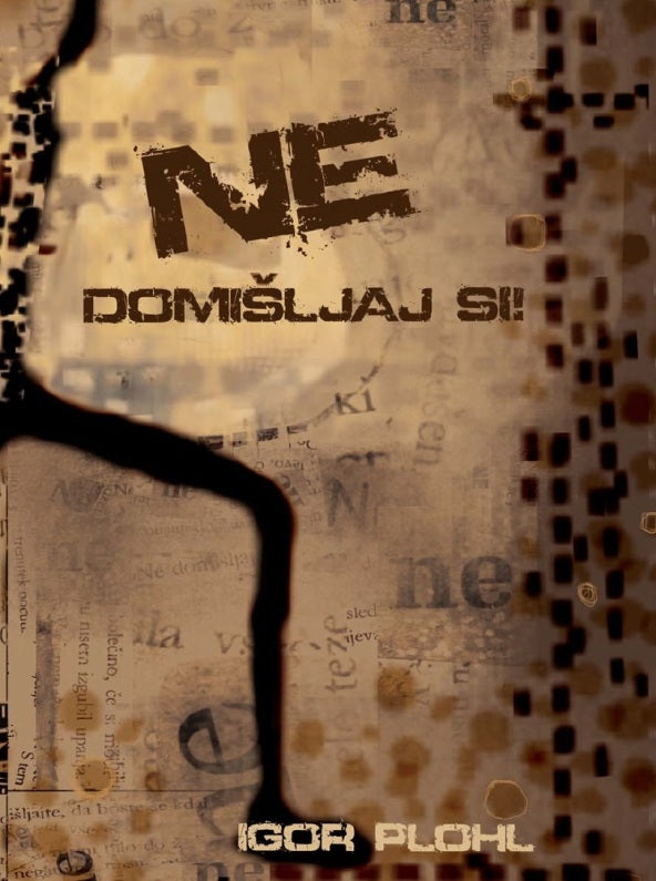 Ne domišljaj si!: Dve leti življenja nekega paraplegika