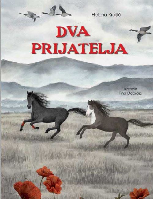 DVA PRIJATELJA