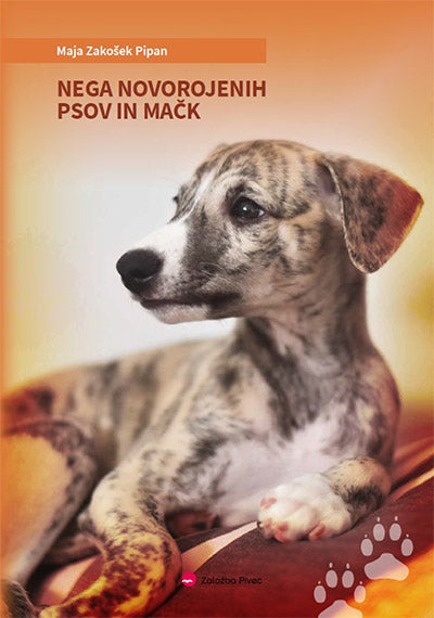NEGA NOVOROJENIH PSOV IN MAČK