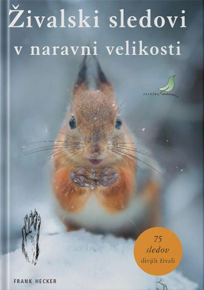 ŽIVALSKI SLEDOVI V NARAVNI VELIKOSTI