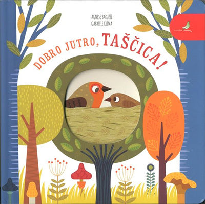DOBRO JUTRO, TAŠČICA!