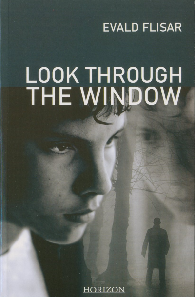 Look Through the Window
