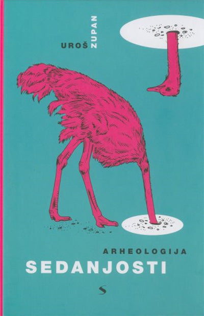 Arheologija sedanjosti: eseji o knjigah, književnosti in še čem