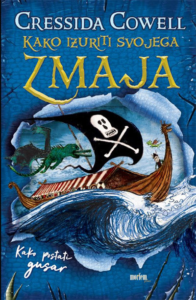 Kako izuriti svojega zmaja: Kako postati gusar (2. knjiga)