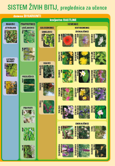 SISTEM ŽIVIH BITIJ - PREGLEDNICA, PREN., 2020