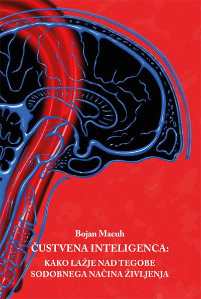 Čustvena inteligenca: kako lažje nad tegobe sodobnega načina življenja