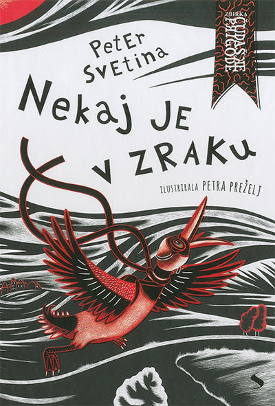 Nekaj je v zraku: zapiski o dveh Ajdah in racaku letaku