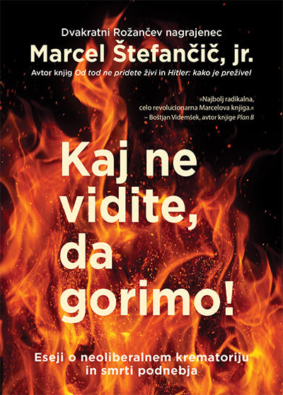 Kaj ne vidite, da gorimo!: eseji o neoliberalnem krematoriju in smrti podnebja