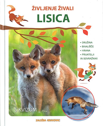 LISICA