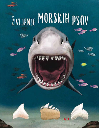ŽIVLJENJE MORSKIH PSOV