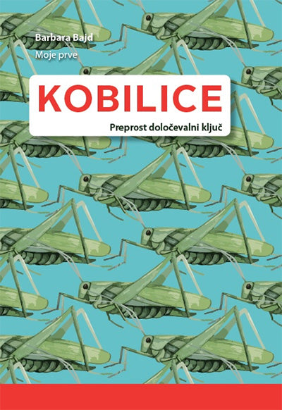 Moje prve kobilice: preprost določevalni ključ