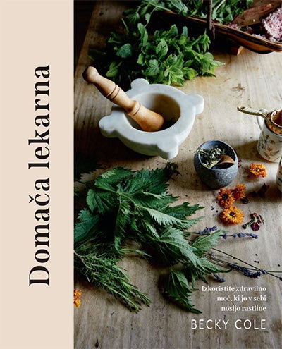 Domača lekarna: izkoristite zdravilno moč, ki jo v sebi nosijo rastline