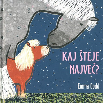 KAJ ŠTEJE NAJVEČ?