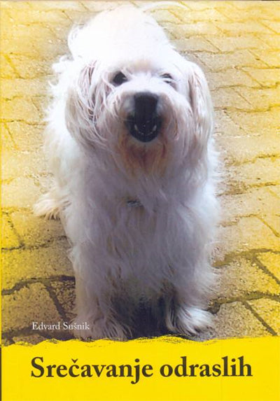 SREČAVANJE ODRASLIH 2