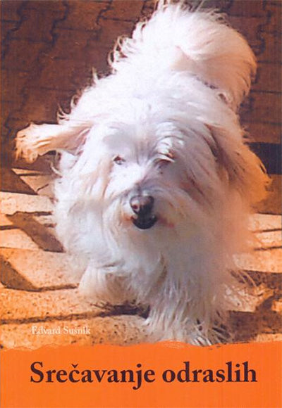 SREČAVANJE ODRASLIH 3