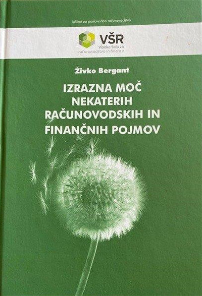 Izrazna moč nekaterih računovodskih in finančnih pojmov
