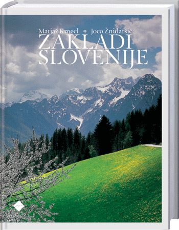 Zakladi Slovenije