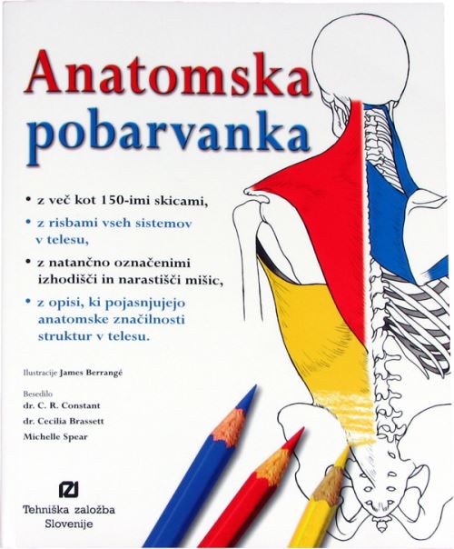 Anatomska pobarvanka