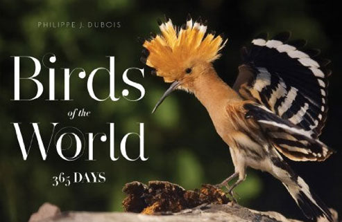 BIRDS OF THE WORLD: 365 DAYS