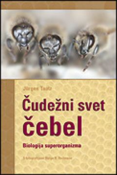 ČUDEŽNI SVET ČEBEL