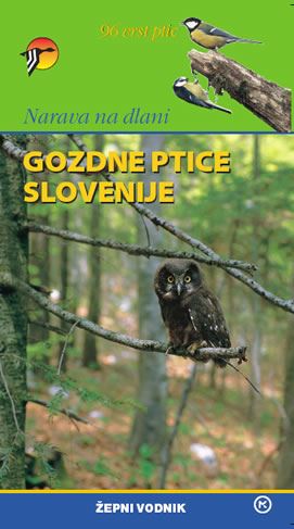 GOZDNE PTICE SLOVENIJE