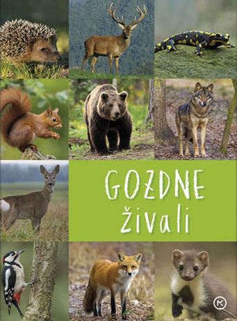 GOZDNE ŽIVALI