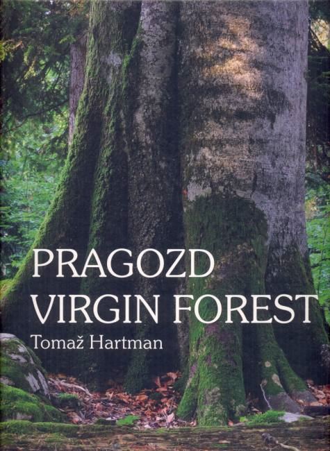 Pragozd: Pranarava Kočevske