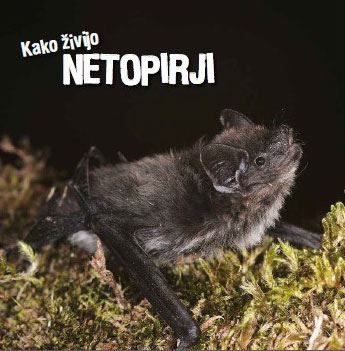 KAKO ŽIVIJO NETOPIRJI