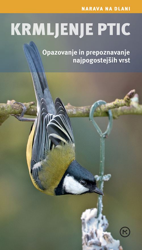 Krmljenje ptic - Opazovanje in prepoznavanje najpogostejših vrst