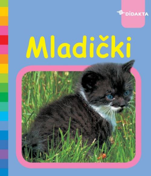 MLADIČKI