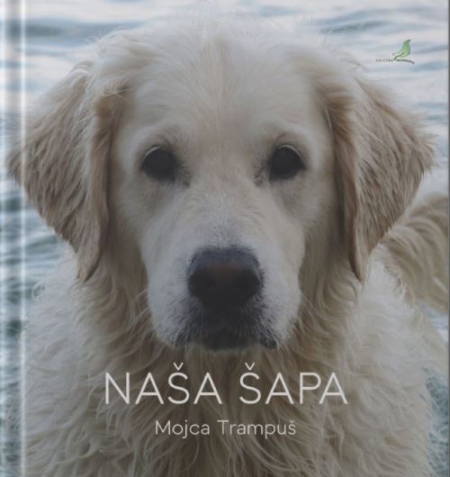NAŠA ŠAPA
