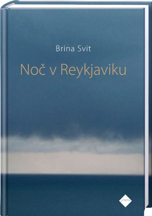 Noč v Reykjaviku