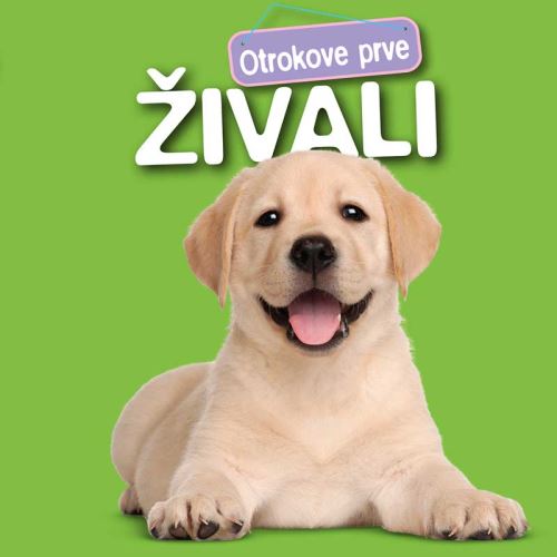 OTROKOVE PRVE ŽIVALI